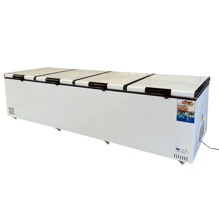 Restaurant Chest Freezer